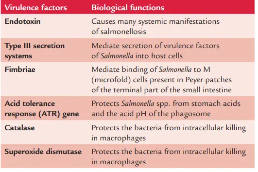 Virulence factors of Salmonella spp