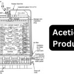 Acetic Acid Production