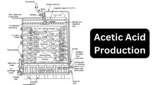 Acetic Acid Production
