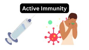 Active Immunity - Definition, Types, Examples
