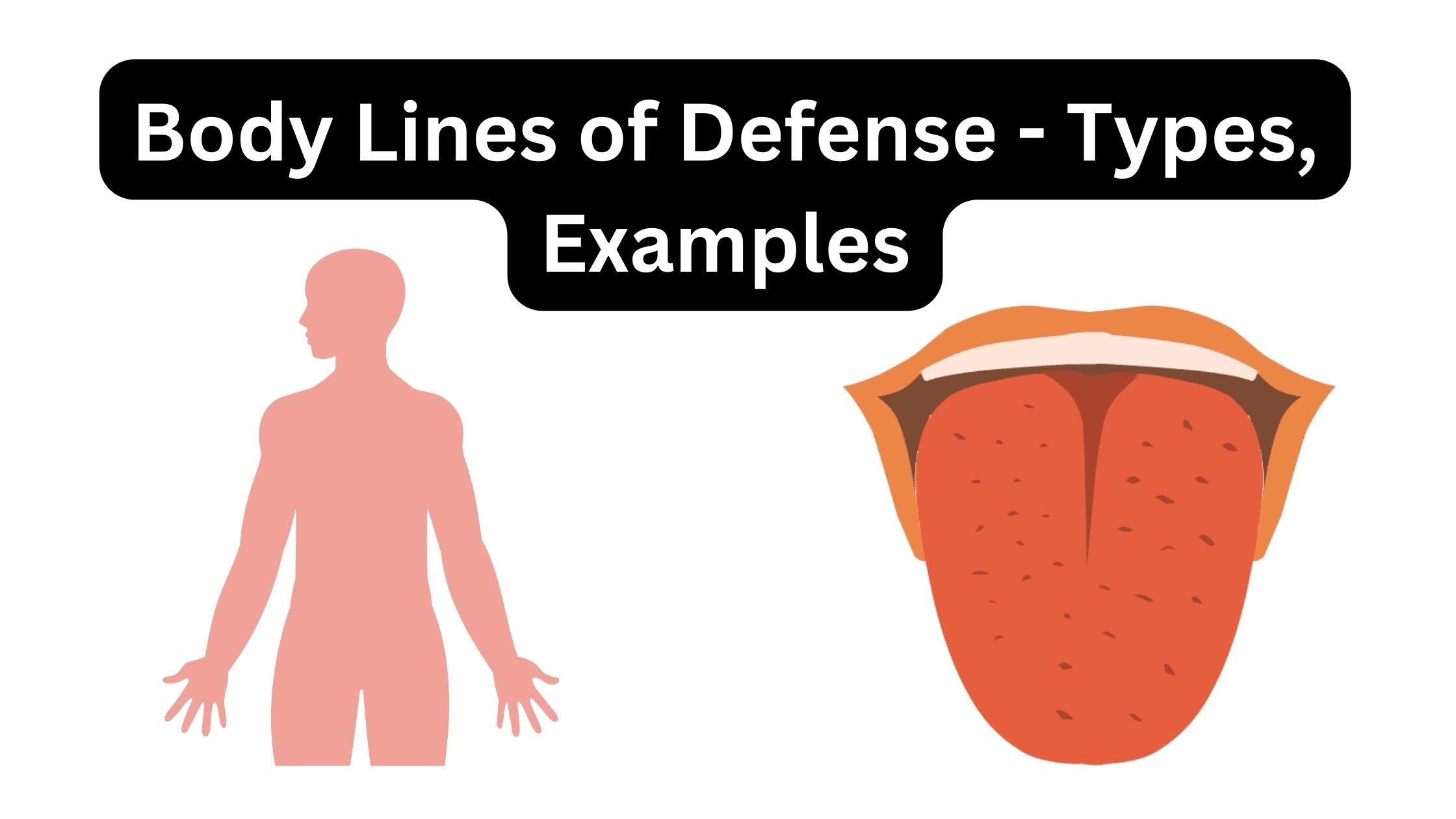 name the two major categories of innate nonspecific defenses