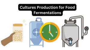 Cultures Production for Food Fermentations