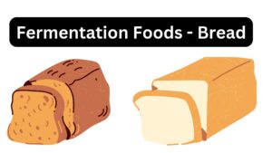 Fermentation Foods - Bread
