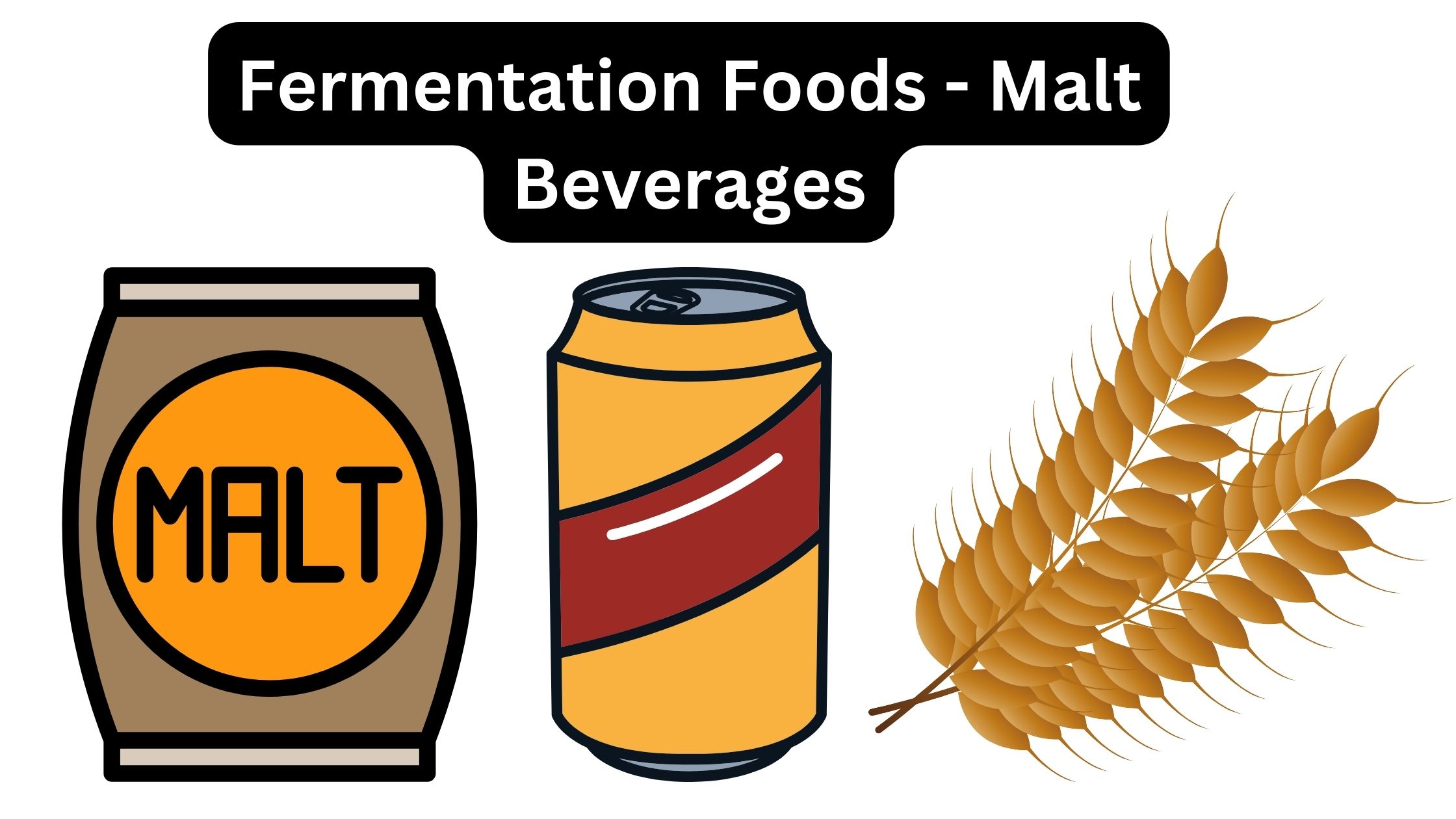 Fermentation Foods - Malt Beverages