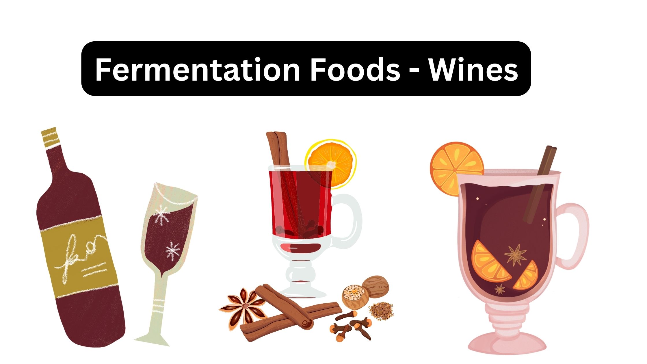 Fermentation Foods - Wines