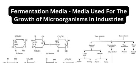Fermentation Media - Media Used For The Growth of Microorganisms in Industries