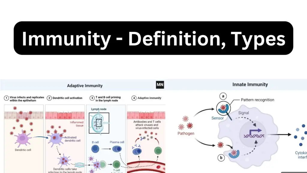 Immunity - Definition, Types