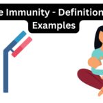 Passive Immunity - Definition, Types, Examples