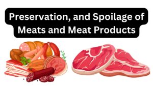 Preservation, and Spoilage of Meats and Meat Products