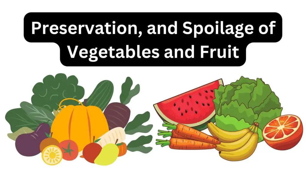 Preservation, and Spoilage of Vegetables and Fruit