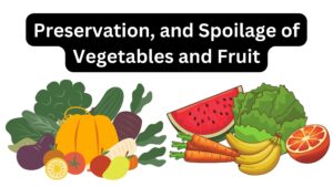 Preservation, and Spoilage of Vegetables and Fruit