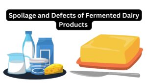 Spoilage and Defects of Fermented Dairy Products 
