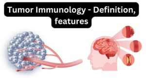 Tumor Immunology - Definition, features