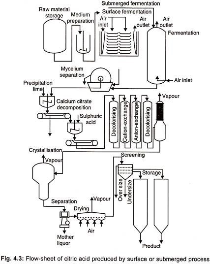 Fermentation Process