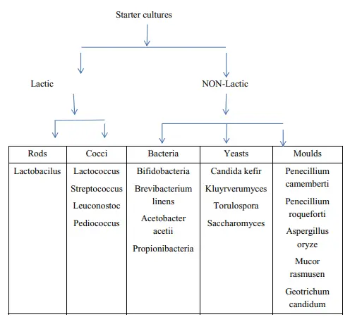 Classification /Taxonomic Groups as Per Bergey's ManualIntroduction