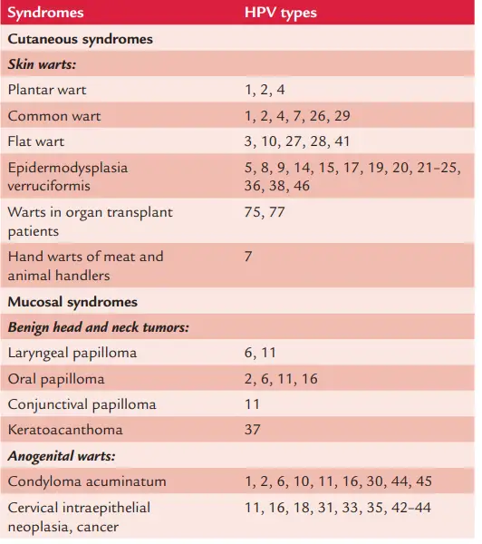 Clinical syndromes associated with HPV