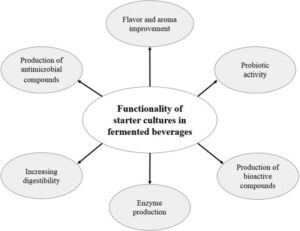 Factors Affecting Fermentation Characteristics of Starter Cultures 