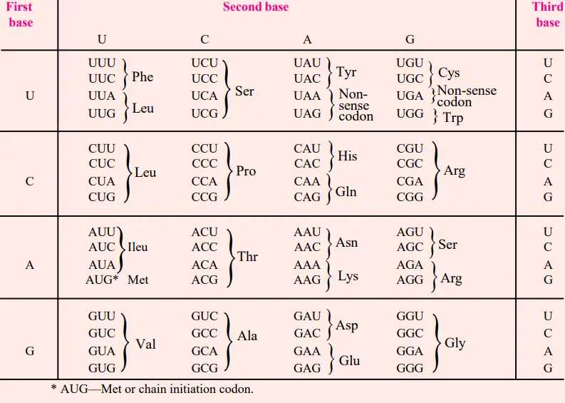  The genetic dictionary. The trinucleotide codons are written in the 5'→3' direction.
