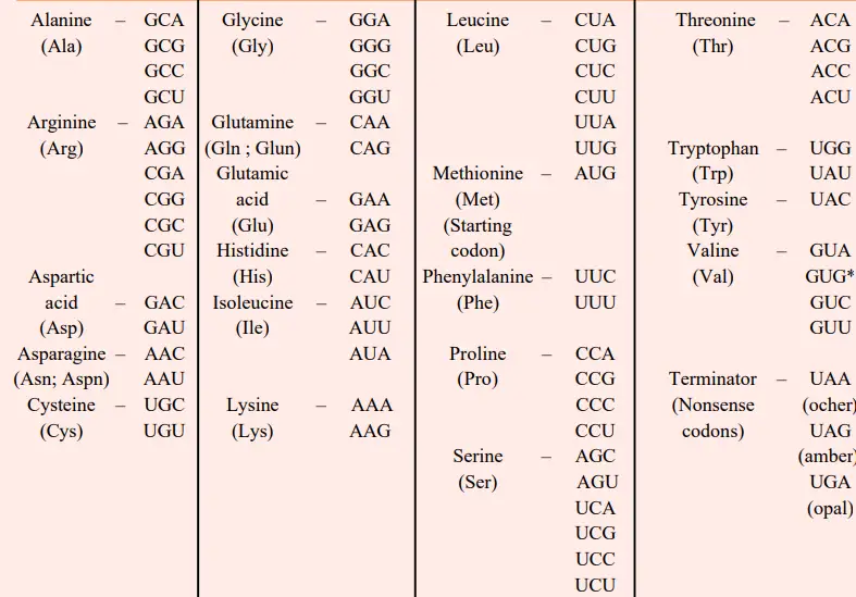 Amino acids and their messenger RNA codons