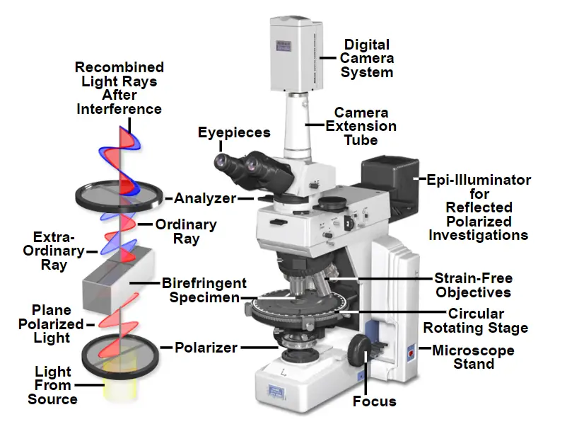 How does a Polarized Light Microscope Works?