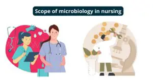 Scope of Microbiology in Nursing