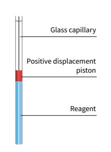 Principle of Positive Displacement Pipetting