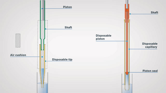 How Positive Displacement Pipettes Work