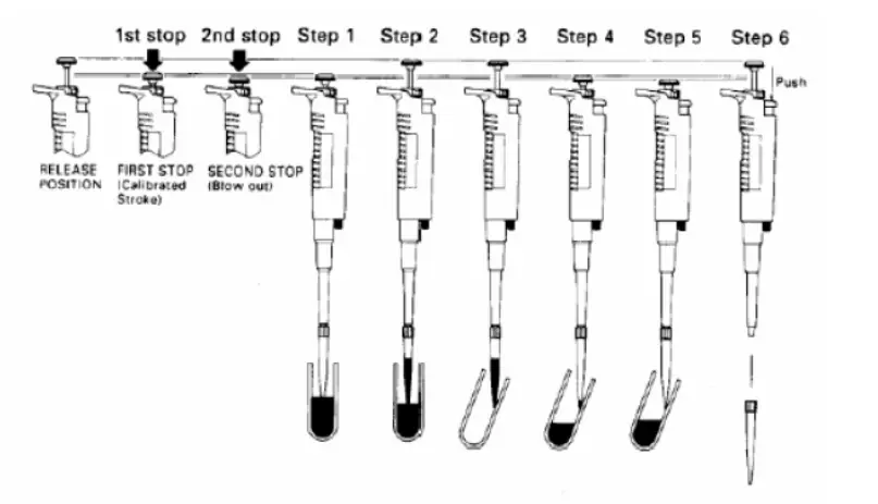 How to Use a Micropipette?