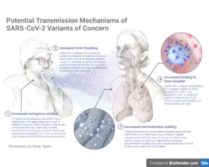 Modes of transmission of SARS-CoV-2 (COVID-19)