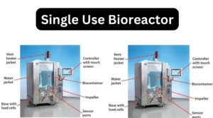 Single Use Bioreactor - Principle, Parts, Types, Uses