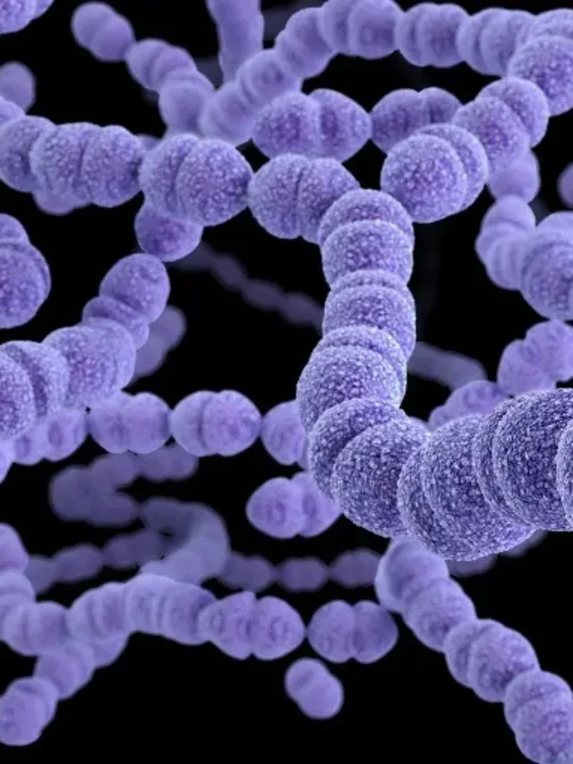 Interesting Facts of Streptococcus pneumoniae