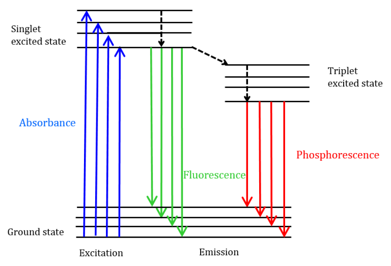 Jablonski diagram illustrating different transitions between a molecule’s energy states.