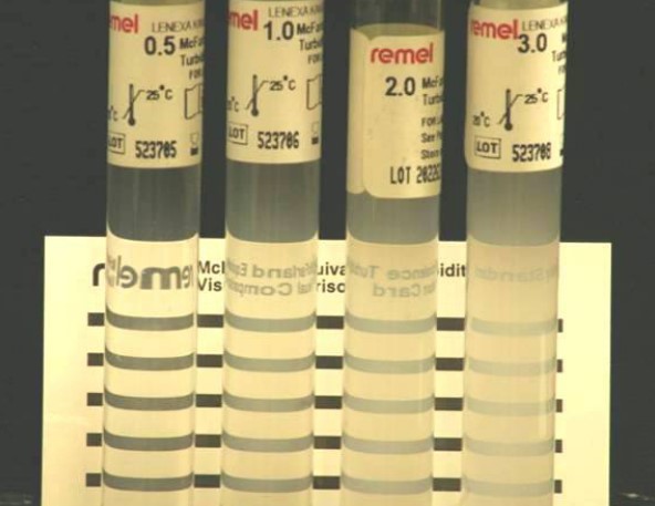 The McFarland standards 0.5, 1.0, 2.0, and 3.0 are placed in front of a Wickerham card. Using McFarland standards, bacterial suspensions are prepared to a given turbidity. In accordance with the methodology for the Kirby-Bauer disc diffusion susceptibility test, the bacterial suspension of the organism to be examined should correspond to the 0.5 McFarland standard.