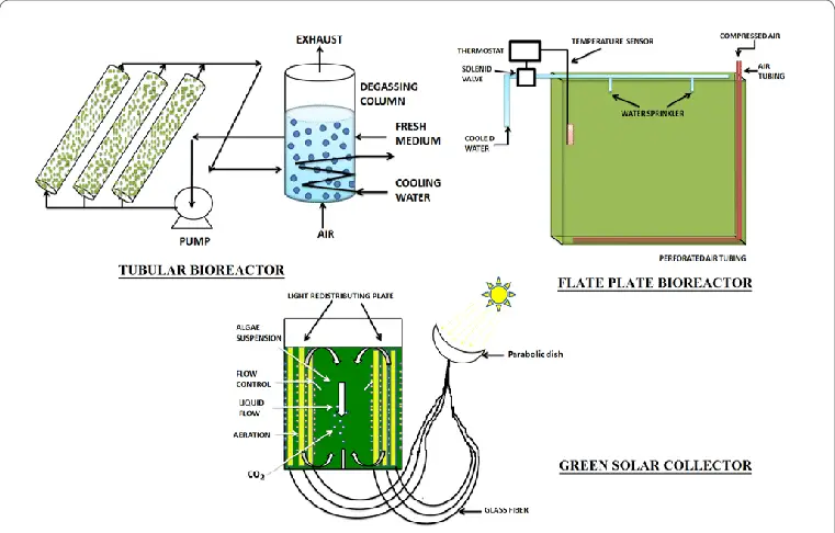 Algae Bioreactor - Definition, Types, Feature, Uses