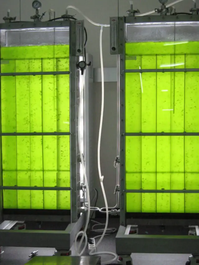 What is Algae Bioreactor?