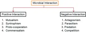 Microbial interaction - Definition, Types, Characteristics, Examples