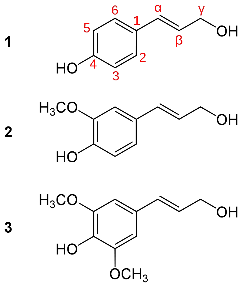 The three common monolignols: paracoumaryl alcohol (1), coniferyl alcohol (2) and sinapyl alcohol (3)