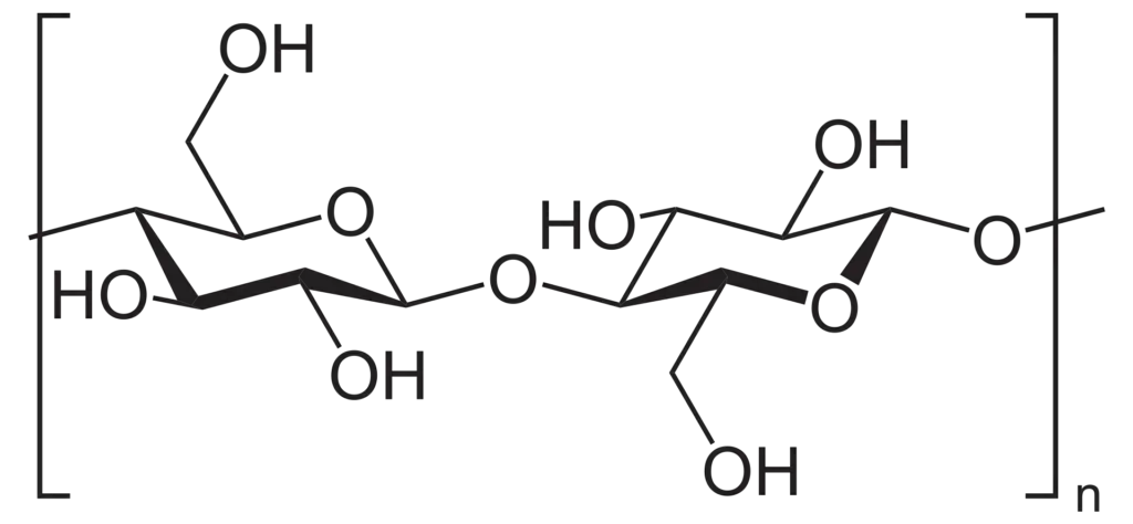 Cellulose, a linear polymer of D-glucose units (two are shown) linked by β(1→4)-glycosidic bonds