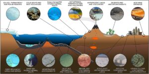 Microbiology of Extreme Environments - Definition, Types, Examples