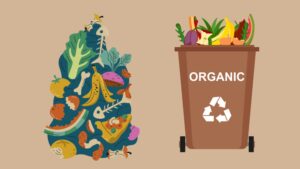Organic Waste Recycling - Definition, Characteristics, Methods, Steps, Significance