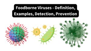 Foodborne Viruses - Definition, Examples, Detection, Prevention
