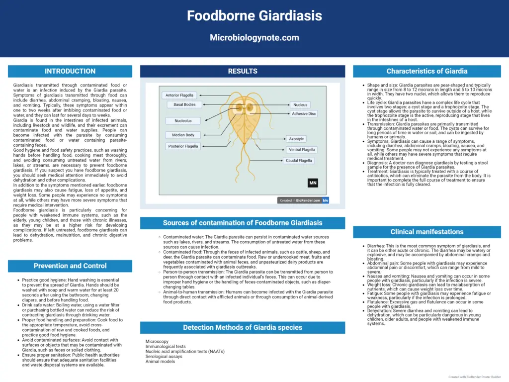 Foodborne Giardiasis – Definition, Pathogenesis, Contamination
