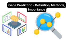 Gene Prediction - Definition, Methods, Importance