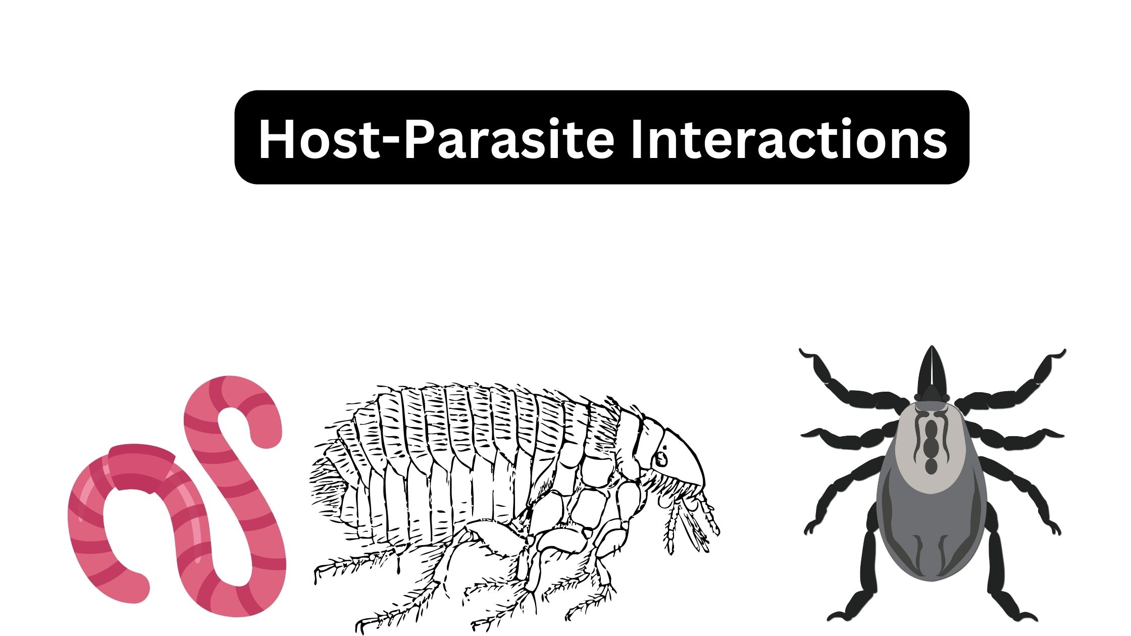 Host-Parasite Interactions