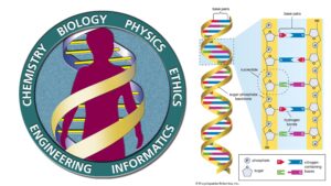 The Human Genome Project - An Overview