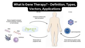 What Is Gene Therapy? - Definition, Types, Vectors, Applications