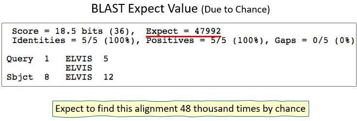 What are Expect values in BLAST?