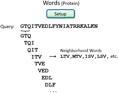 wordsize of protein