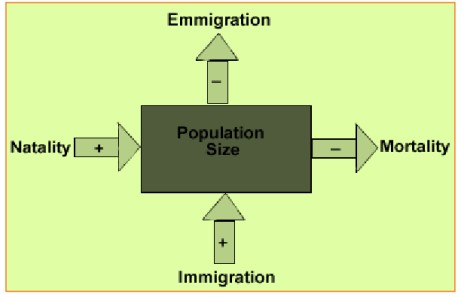  Influence of natality, immigration, mortality and emigration on population.