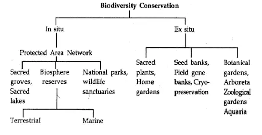 The in-situ and ex-situ biodiversity conservation in India